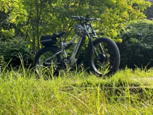 Electric Bikes with Dual Motors: The Best Models for 2024