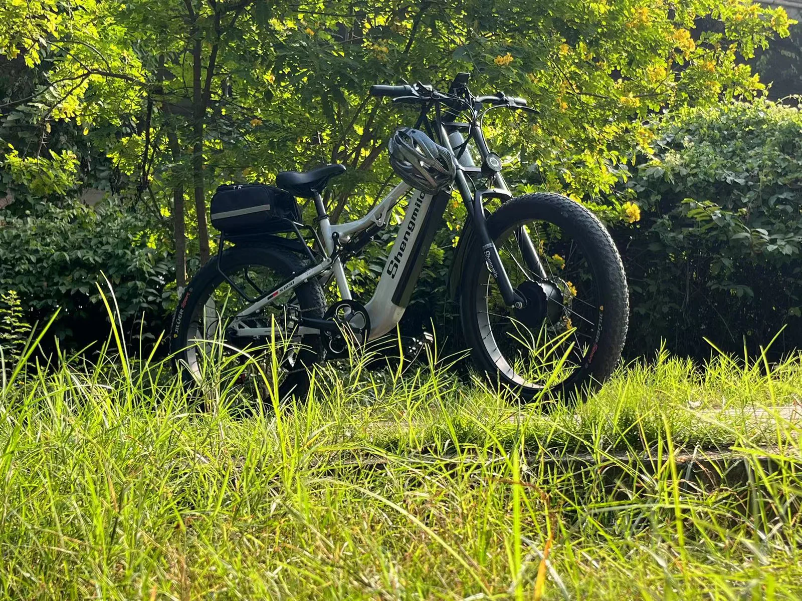 Dual Motor Electric Bike